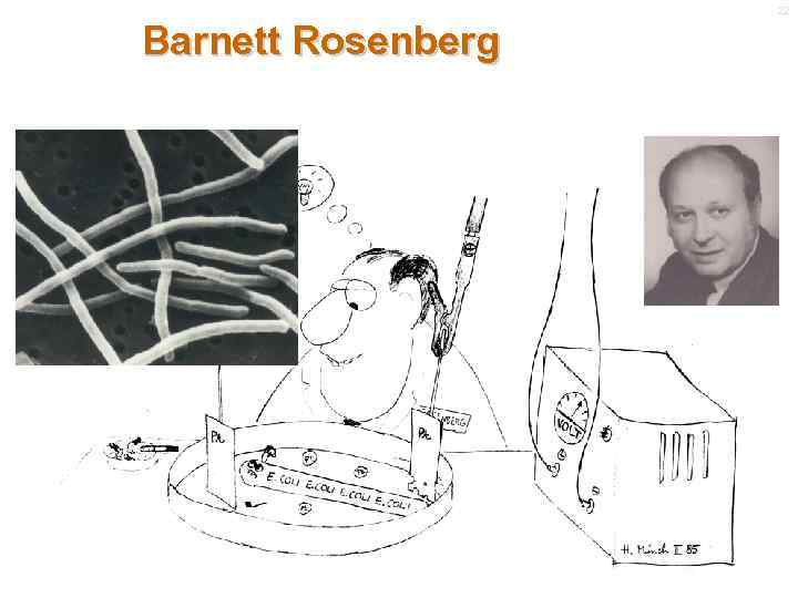 22 Barnett Rosenberg 