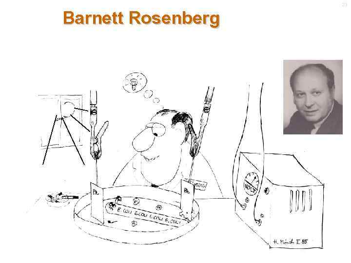 23 Barnett Rosenberg 