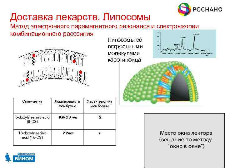Доставка лекарств. Липосомы Метод электронного парамагнитного резонанса и спектроскопии комбинационного рассеяния Липосомы со встроенными