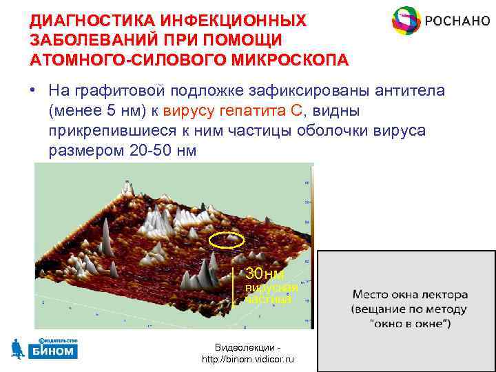 ДИАГНОСТИКА ИНФЕКЦИОННЫХ ЗАБОЛЕВАНИЙ ПРИ ПОМОЩИ АТОМНОГО-СИЛОВОГО МИКРОСКОПА • На графитовой подложке зафиксированы антитела (менее