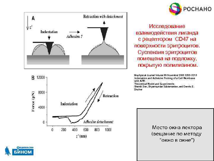 Исследование взаимодействия лиганда с рецептором CD 47 на поверхности эритроцитов. Суспензия эритроцитов помещена на