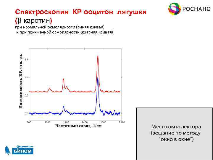 Спектроскопия КР ооцитов лягушки (b-каротин) при нормальной осмолярности (синяя кривая) и при пониженной осмолярности