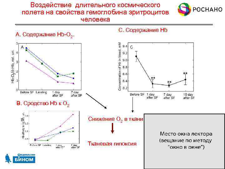 Воздействие длительного космического полета на свойства гемоглобина эритроцитов человека A. Содержание Hb-O 2. A