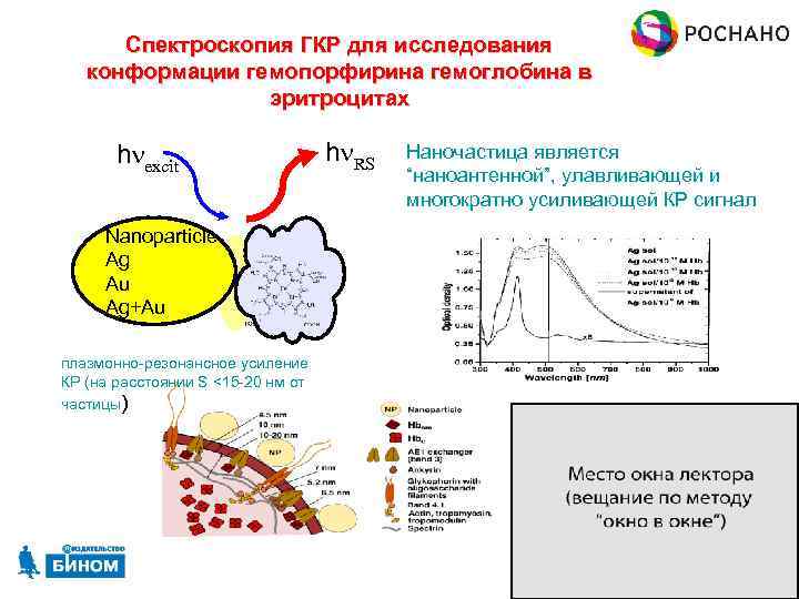 Спектроскопия ГКР для исследования конформации гемопорфирина гемоглобина в эритроцитах hnexcit hn. RS Наночастица является