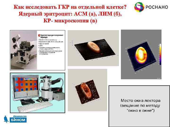 Как исследовать ГКР на отдельной клетке? Ядерный эритроцит: АСМ (а), ЛИМ (б), КР- микроскопия
