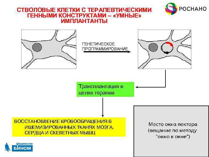 СТВОЛОВЫЕ КЛЕТКИ С ТЕРАПЕВТИЧЕСКИМИ ГЕННЫМИ КОНСТРУКТАМИ – «УМНЫЕ» ИМПЛАНТАНТЫ ГЕНЕТИЧЕСКОЕ ПРОГРАММИРОВАНИЕ Трансплантация в целях