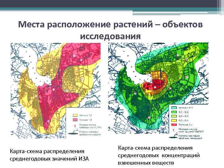 Места расположение растений – объектов исследования Карта-схема распределения среднегодовых значений ИЗА Карта-схема распределения среднегодовых