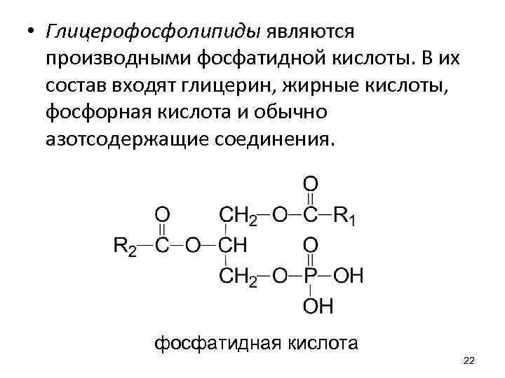 Схема образования фосфатидной кислоты содержащей остатки арахиновой и олеиновой кислот