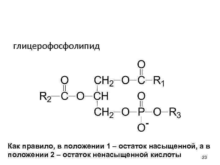 глицерофосфолипид Как правило, в положении 1 – остаток насыщенной, а в положении 2 –