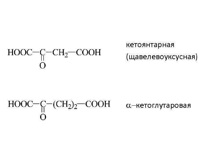 кетоянтарная (щавелевоуксусная) -кетоглутаровая 