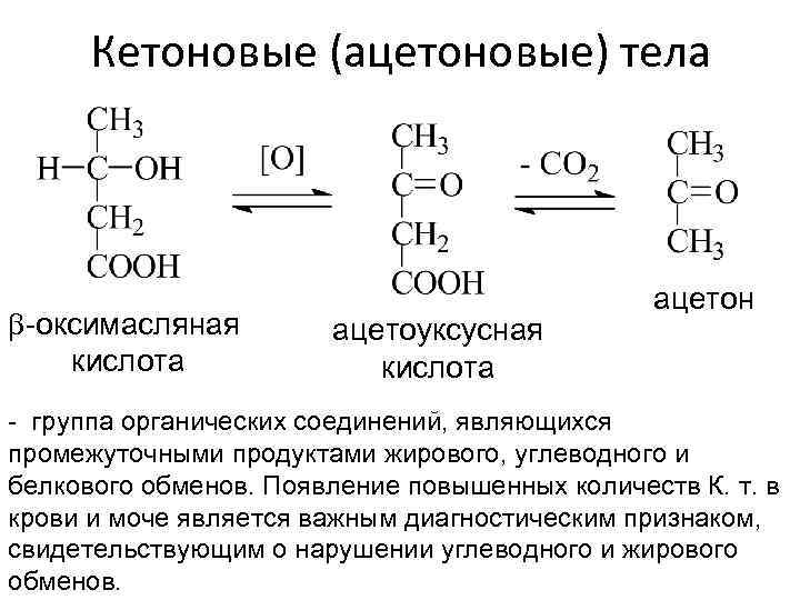 Кетоновые (ацетоновые) тела b-оксимасляная кислота ацетоуксусная кислота ацетон - группа органических соединений, являющихся промежуточными