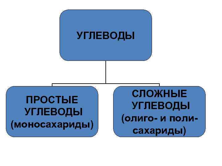 УГЛЕВОДЫ ПРОСТЫЕ УГЛЕВОДЫ (моносахариды) СЛОЖНЫЕ УГЛЕВОДЫ (олиго- и полисахариды) 