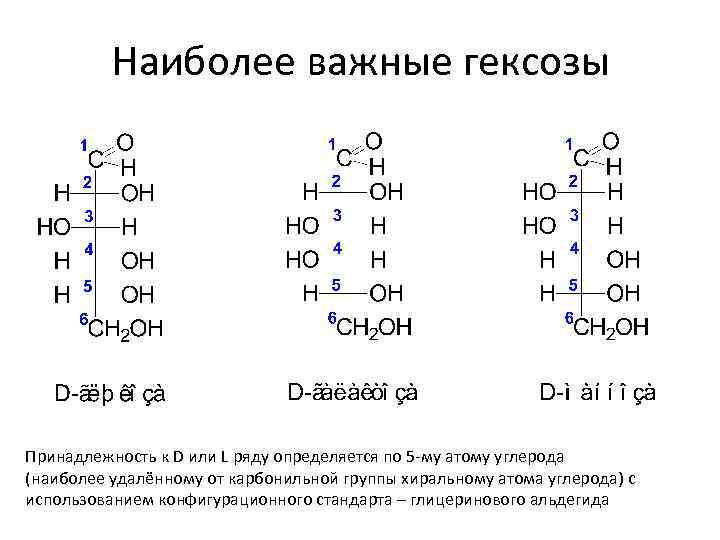 Наиболее важные гексозы Принадлежность к D или L ряду определяется по 5 -му атому