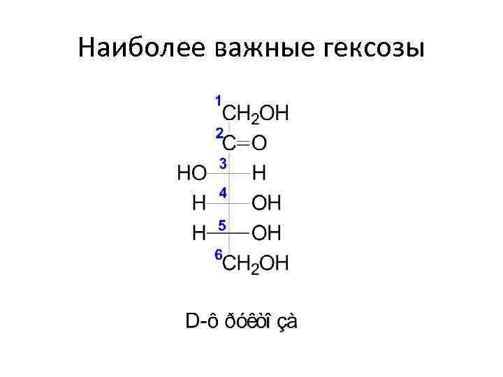 Наиболее важные гексозы 