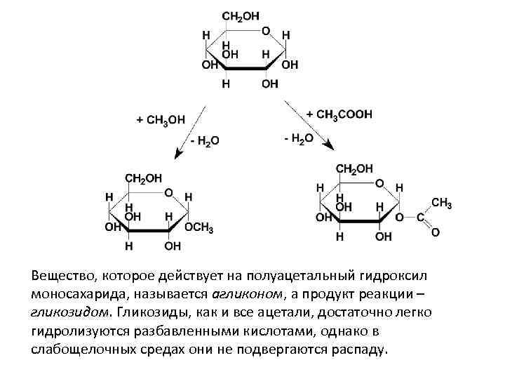 Вещество, которое действует на полуацетальный гидроксил моносахарида, называется агликоном, а продукт реакции – гликозидом.