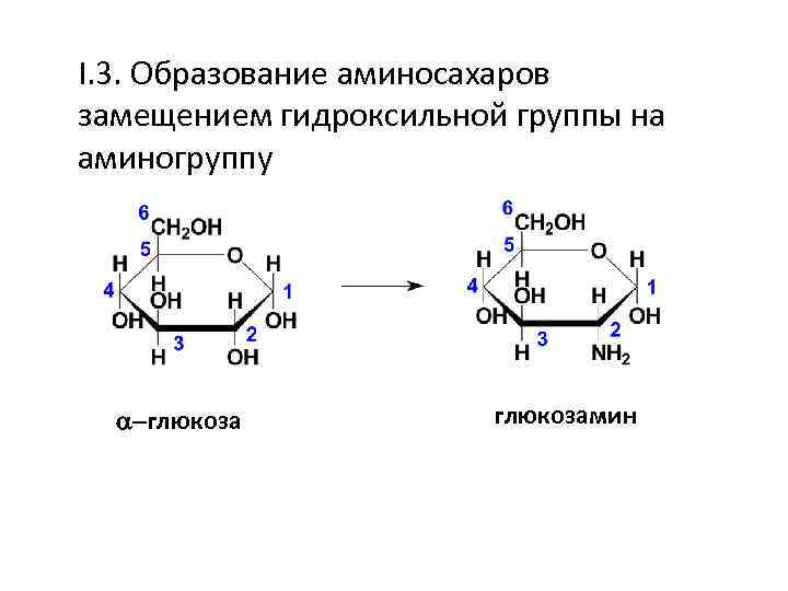 I. 3. Образование аминосахаров замещением гидроксильной группы на аминогруппу -глюкозамин 