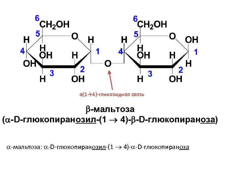 Химические свойства мальтозы