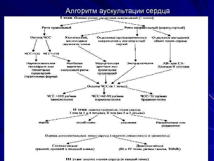 Аускультация сердца алгоритм