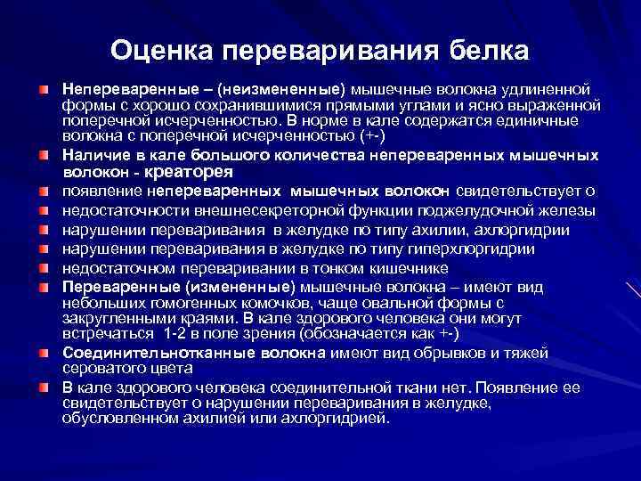 Оценка переваривания белка Непереваренные – (неизмененные) мышечные волокна удлиненной формы с хорошо сохранившимися прямыми