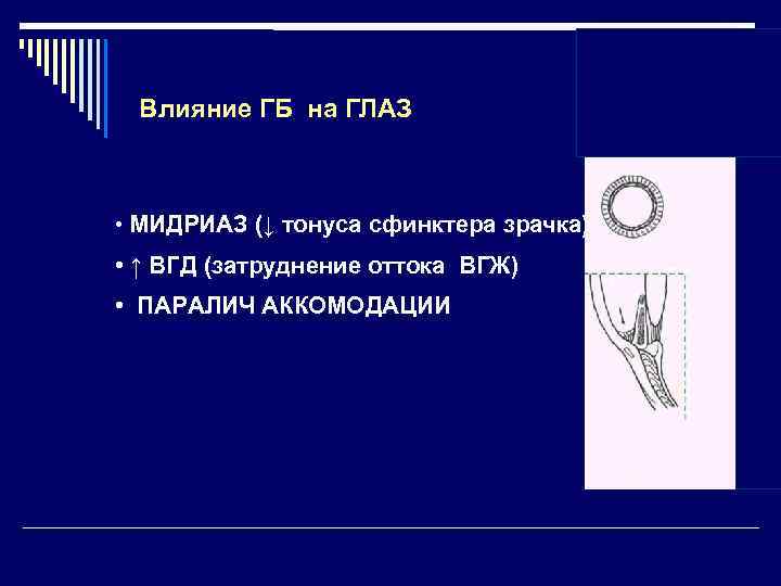 Влияние ГБ на ГЛАЗ • МИДРИАЗ (↓ тонуса сфинктера зрачка) • ↑ ВГД (затруднение