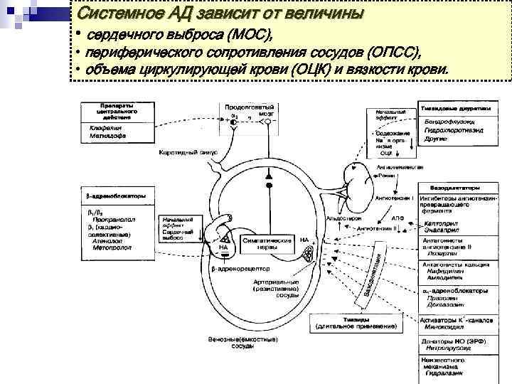 Асд спринцевание схема