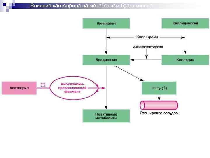 Анализы на обмен веществ