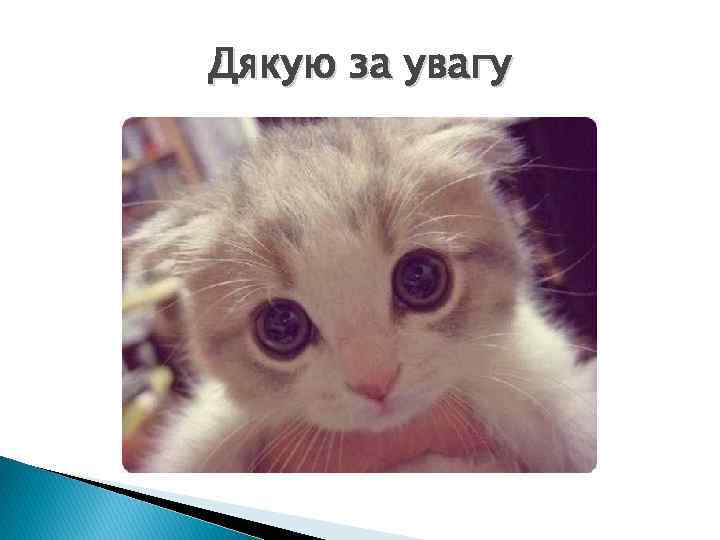 Дякую за увагу 