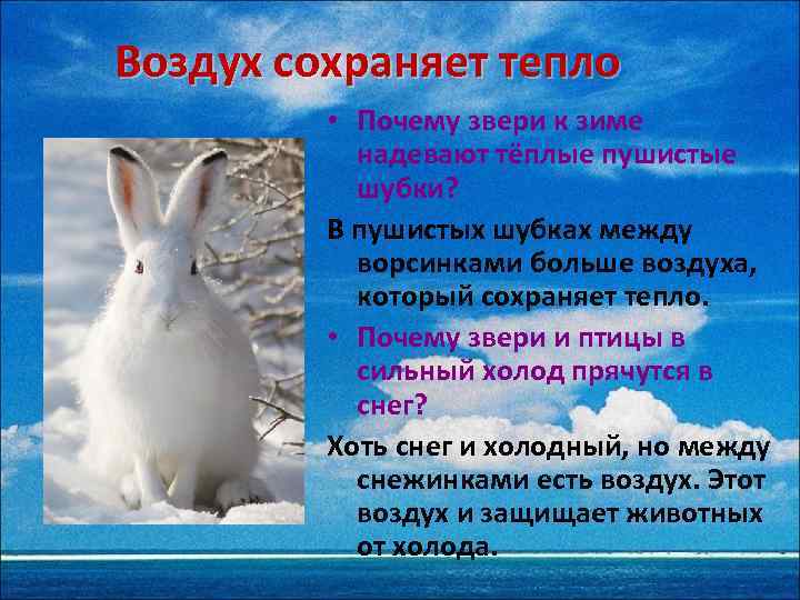 Воздух сохраняет тепло • Почему звери к зиме надевают тёплые пушистые шубки? В пушистых