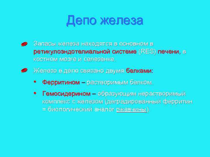 Депо железа Запасы железа находятся в основном в ретикулоэндотелиальной системе (RES) печени, в костном