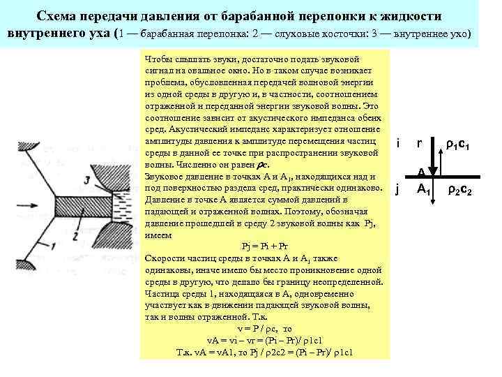 Схема передачи давления от барабанной перепонки к жидкости внутреннего уха (1 — барабанная перепонка: