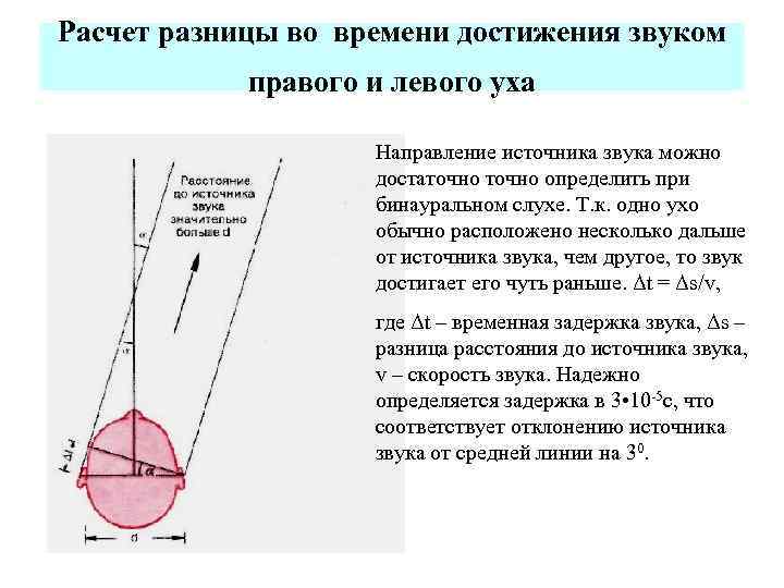 Бинауральный слух физиология схема