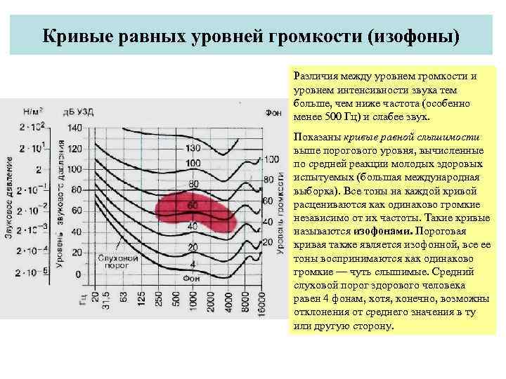 Кривые равных уровней громкости (изофоны) Различия между уровнем громкости и уровнем интенсивности звука тем