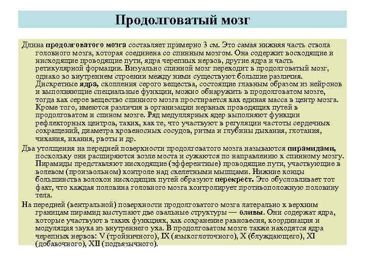 Продолговатый мозг Длина продолговатого мозга составляет примерно 3 см. Это самая нижняя часть ствола