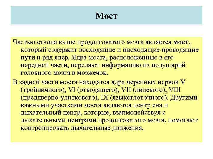 Мост Частью ствола выше продолговатого мозга является мост, который содержит восходящие и нисходящие проводящие