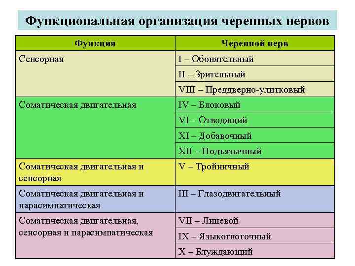 Функциональная организация черепных нервов Функция Сенсорная Черепной нерв I – Обонятельный II – Зрительный