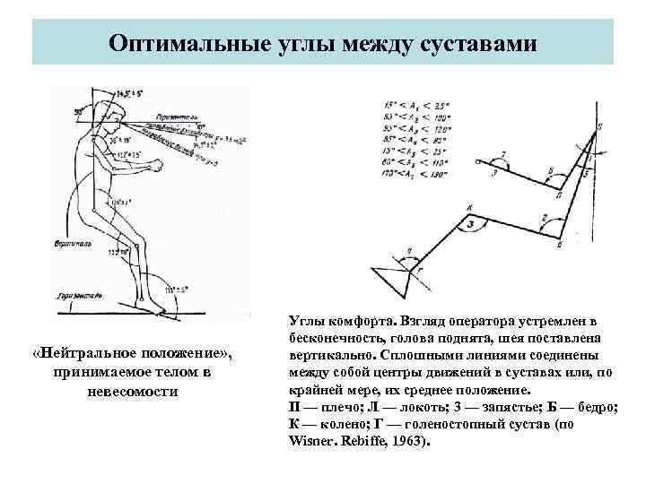 Сколько выделяют биомеханических характеристик движений