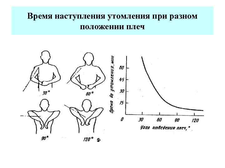 Время наступления утомления при статической нагрузке. Наступление утомления. Схема биомеханического анализа рабочей позы сидя. Как замедлить время наступления утомления. Биомеханическая характеристика утомления и его проявления.