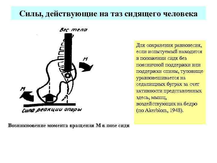 Силы, действующие на таз сидящего человека Для сохранения равновесия, если испытуемый находится в положении