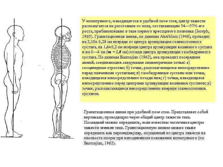 Положение тела в пространстве определяют. Гравитационный центр тяжести тела человека. Положение тела в пространстве. Гравитационный центр тяжести тела человека располагается. Определение положения тела в пространстве.