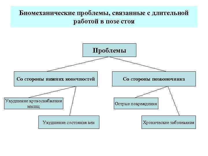 Биомеханические проблемы, связанные с длительной работой в позе стоя Проблемы Со стороны нижних конечностей