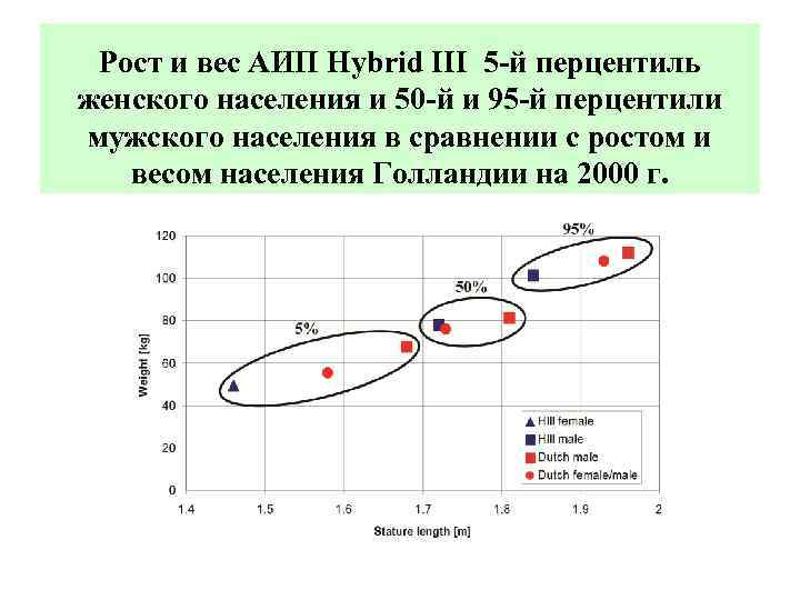 Рост и вес АИП Hybrid III 5 -й перцентиль женского населения и 50 -й