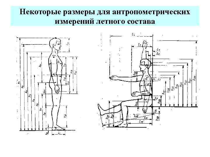 Некоторые размеры для антропометрических измерений летного состава 