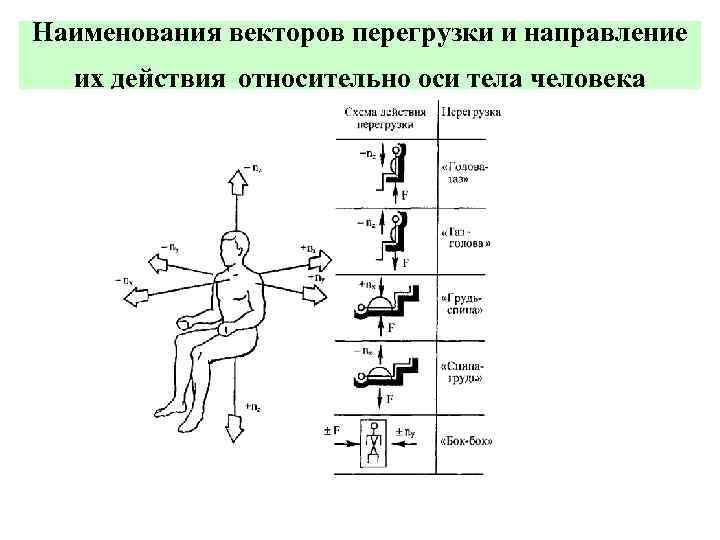Наименования векторов перегрузки и направление их действия относительно оси тела человека 