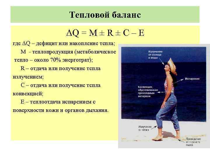 Тепловой баланс ΔQ = M ± R ± C – E где ΔQ –