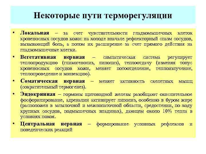 Некоторые пути терморегуляции • Локальная – за счет чувствительности гладкомышечных клеток • • кровеносных