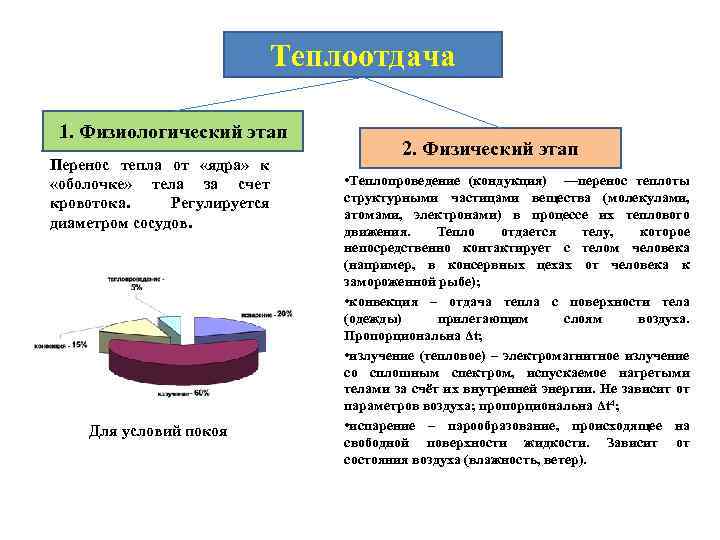 Теплоотдача 1. Физиологический этап Перенос тепла от «ядра» к «оболочке» тела за счет кровотока.