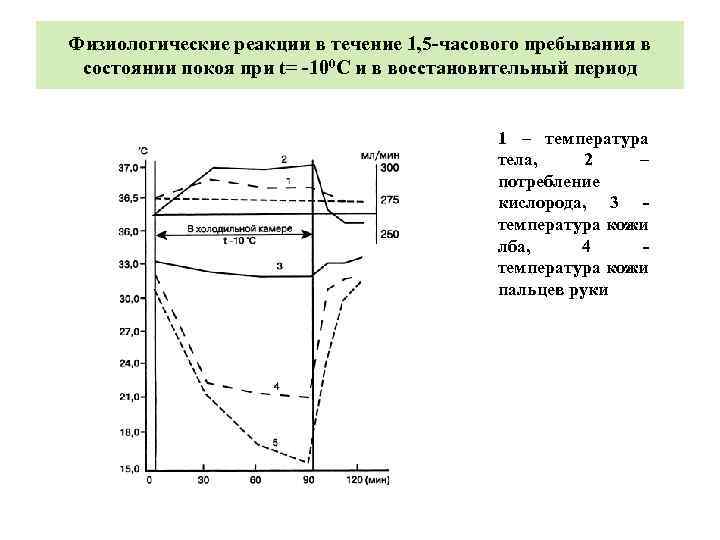 Физиологические реакции в течение 1, 5 -часового пребывания в состоянии покоя при t= -100