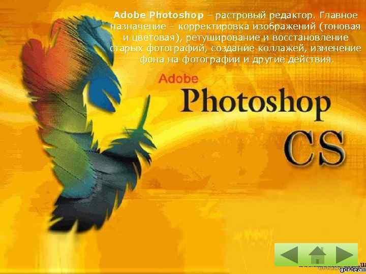 Adobe Photoshop – растровый редактор. Главное назначение – корректировка изображений (тоновая и цветовая), ретуширование