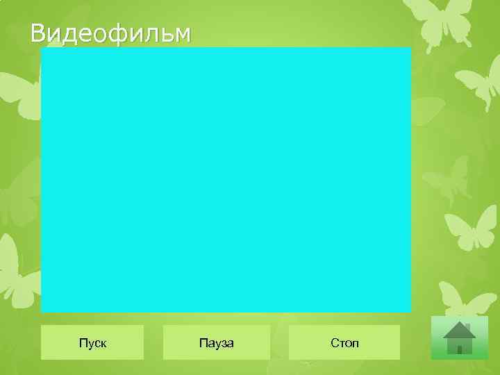Видеофильм Пуск Пауза Стоп 