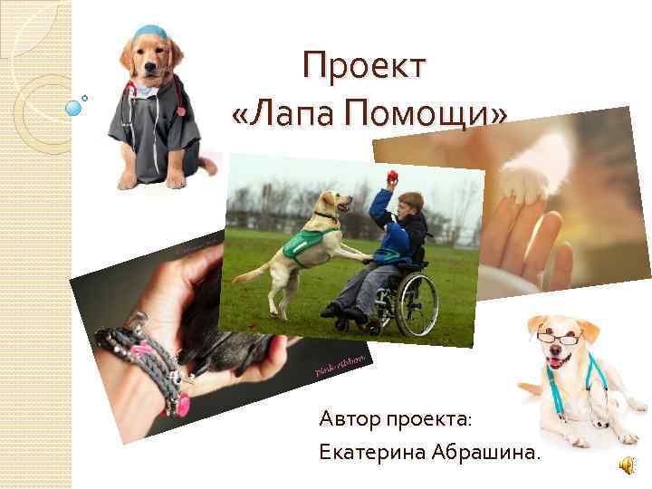 Проект «Лапа Помощи» Автор проекта: Екатерина Абрашина. 